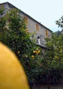 La Casa Dei Limoni