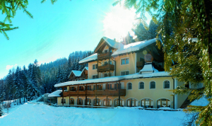 Hotel Naturidyll Bad Waldbrunn