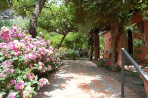 Villa Carmelas