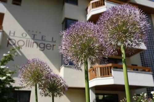 Hotel Pollinger