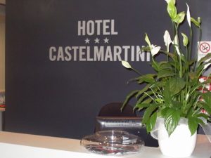 Hotel Castelmartini