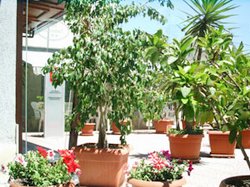 Hotel Promenade