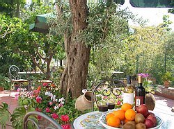 Hotel Parco degli Ulivi