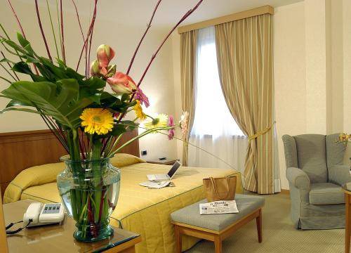 Hotel Excelsior Magenta