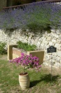 Tenuta Lonciano