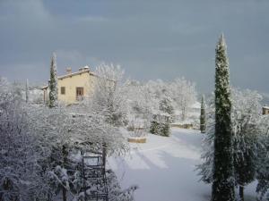 Agriturismo Biologico Antico Uliveto