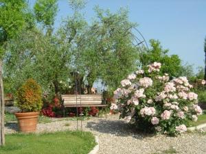 Agriturismo Biologico Antico Uliveto
