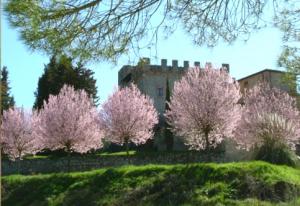 Castel Pietraio
