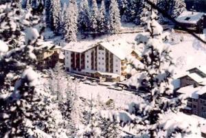 Hotel Nordik