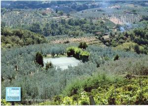 Fattoria Casa Italia