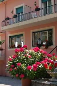 Hotel Europa