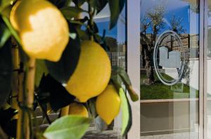 Best Western Cesena Hotel