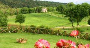 Relais Tenuta Del Gallo