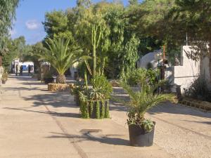 Villaggio Appartamenti Egad