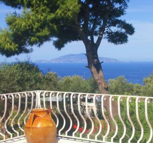Il Giardino dell'Arte