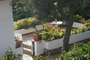 Il Giardino dell'Arte