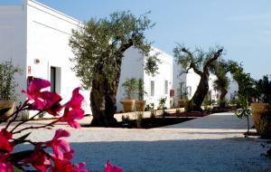 Masseria Torre Maizza