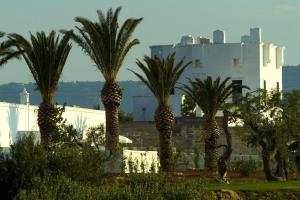 Masseria Torre Maizza