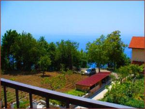 Luna D'Agerola