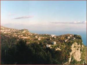 Luna D'Agerola