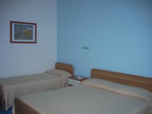 Oasi