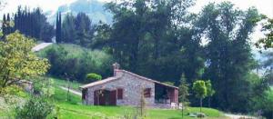 Fattoria Di Vibio