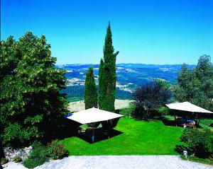 Fattoria Di Vibio