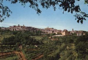 Hotel Grifo