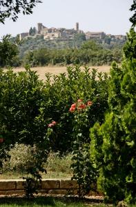 Hotel Poggio Bertino