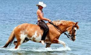 Horse Country Resort Congress & Spa