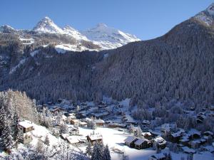 Hotel Castor