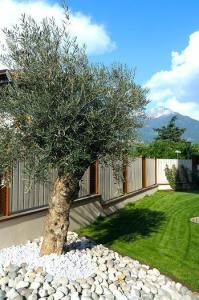 Alia Vital Appart-Hotel