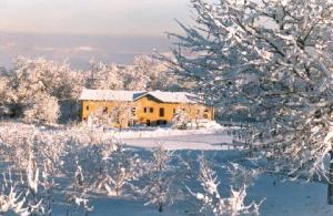 L'Atelier di Pierflavio Gallina