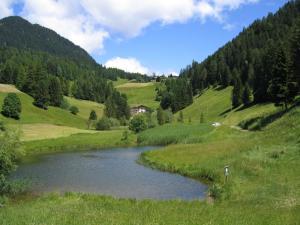 Gasthof Zum Hirschen