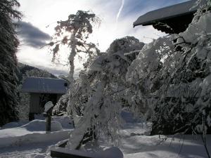 Gasthof Zum Hirschen