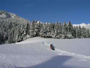 Gasthof Zum Hirschen