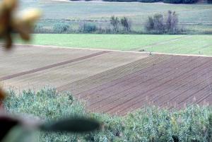 Borgo Valle Rita