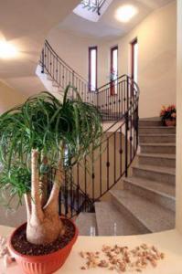Residence Piccolo