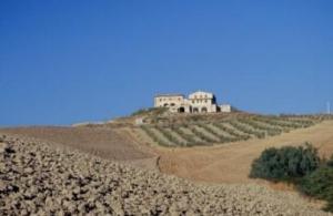Agrihotel Il Palagetto