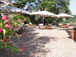 Il Poggiolo Delle Rose Bed&Breakfast