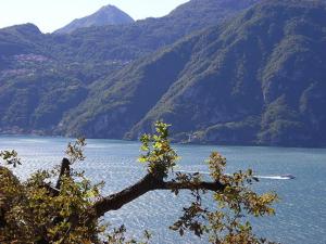 Crotto Di Gittana