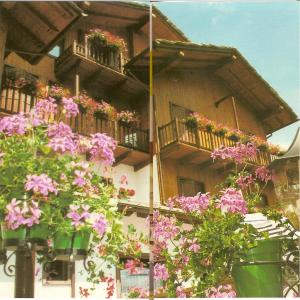 Hotel Triolet