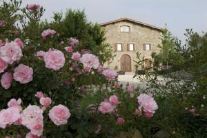 Inncasa