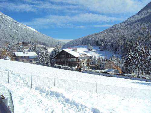 Hotel Des Alpes