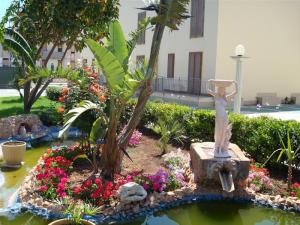 Le Palme Di Conturrana Classic