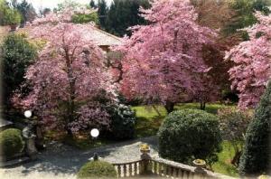 Villa Valentina