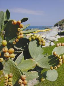 Villaggio Club Baia Del Sole