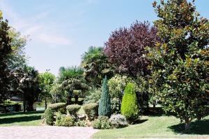 Villa Belvedere Degli Ulivi