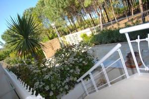 Park Hotel Resort