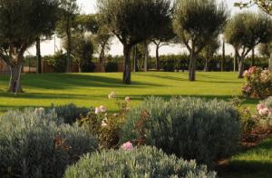 Alla Corte Delle Terme Resort
